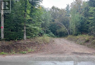 0 QUEENS LINE ROAD Minden Hills (Minden) Ontario photo 1