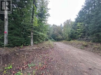 0 QUEENS LINE ROAD Minden Hills (Minden) Ontario photo 2