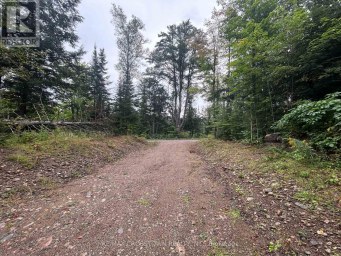 0 QUEENS LINE ROAD Minden Hills (Minden) Ontario photo 3