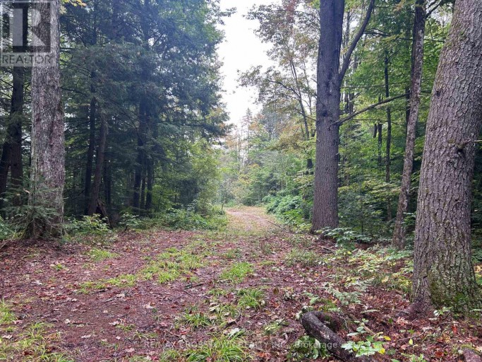 0 QUEENS LINE ROAD, Minden Hills (Minden), Ontario, K0M2K0