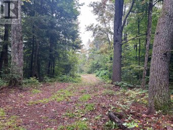 0 QUEENS LINE ROAD Minden Hills (Minden) Ontario photo 4