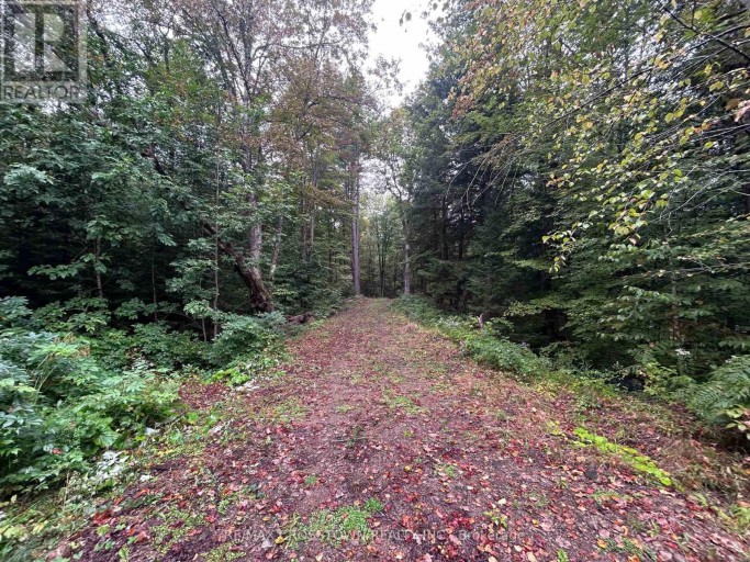 0 QUEENS LINE ROAD, Minden Hills (Minden), Ontario, K0M2K0