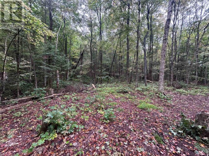 0 QUEENS LINE ROAD, Minden Hills (Minden), Ontario, K0M2K0