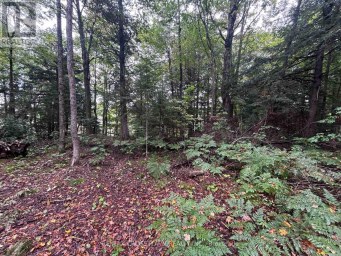 0 QUEENS LINE ROAD Minden Hills (Minden) Ontario photo 7