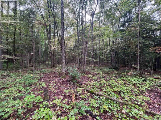 0 QUEENS LINE ROAD, Minden Hills (Minden), Ontario, K0M2K0