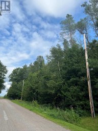 21 PETER AVENUE Tiny Ontario photo 2