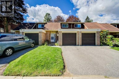 61 - 341 MILITARY TRAIL Toronto (Morningside) Ontario photo 1