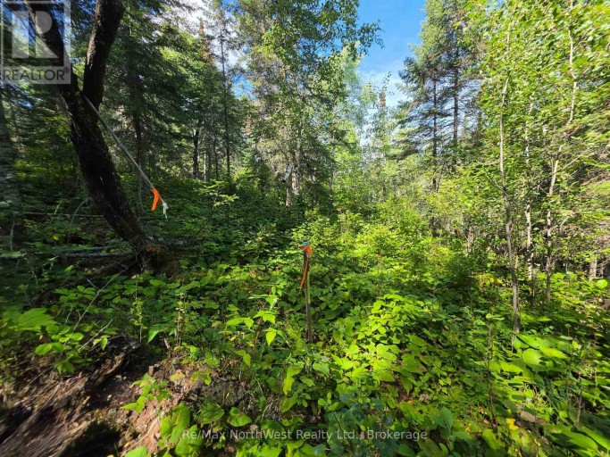 LOT 17 REGINA HEIGHTS BOULEVARD, Sioux Narrows-Nestor Falls, Ontario, P0X1N0