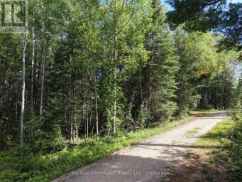 LOT 17 REGINA HEIGHTS BOULEVARD Sioux Narrows-Nestor Falls Ontario photo 5