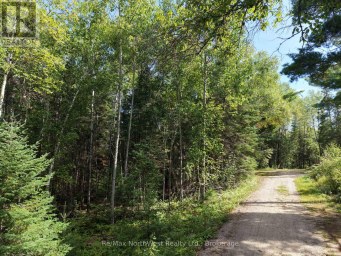 LOT 17 REGINA HEIGHTS BOULEVARD Sioux Narrows-Nestor Falls Ontario photo 6