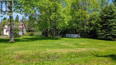 33740 HWY 62 HIGHWAY Hastings Highlands (Monteagle Ward) Ontario photo 40