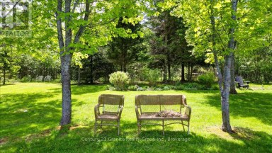 33740 HWY 62 HIGHWAY Hastings Highlands (Monteagle Ward) Ontario photo 45