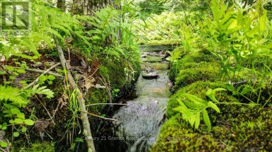 33740 HWY 62 HIGHWAY Hastings Highlands (Monteagle Ward) Ontario photo 50