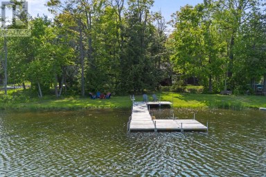 68 IRWIN DRIVE Trent Lakes Ontario photo 31