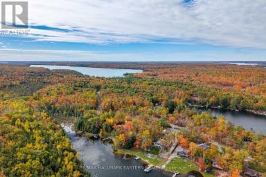 68 IRWIN DRIVE Trent Lakes Ontario photo 38