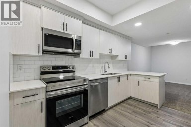 22 Lucas Terrace NW Calgary Alberta photo 35