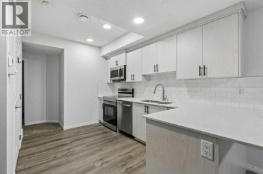22 Lucas Terrace NW Calgary Alberta photo 36