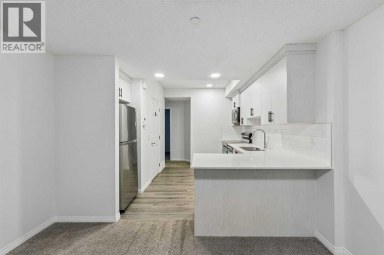 22 Lucas Terrace NW Calgary Alberta photo 37