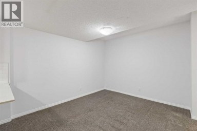 22 Lucas Terrace NW Calgary Alberta photo 38