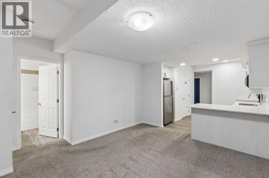 22 Lucas Terrace NW Calgary Alberta photo 39