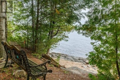 1077 PUKITIS TRAIL Highlands East (Cardiff Ward) Ontario photo 38