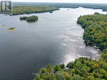 1077 PUKITIS TRAIL Highlands East (Cardiff Ward) Ontario photo 49
