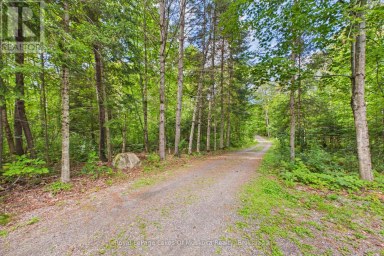 31 FELDSPAR ROAD Magnetawan Ontario photo 41