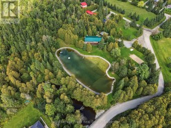 88 WALDWEG Scugog Ontario photo 50