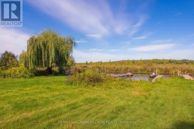 137 GRANDVIEW DRIVE Alnwick/Haldimand Ontario photo 46