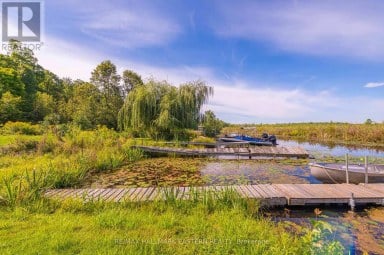 137 GRANDVIEW DRIVE Alnwick/Haldimand Ontario photo 47
