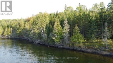 LOT 3 ZIGZAG ISLAND Kenora Remote Area (Lake of the Woods West) Ontario photo 3