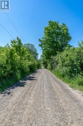 383 CHASE ROAD Prince Edward County (Hillier Ward) Ontario photo 4