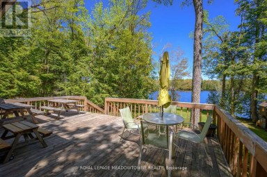251A - 19 FIRE ROUTE Trent Lakes Ontario photo 39