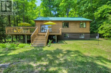 251A - 19 FIRE ROUTE Trent Lakes Ontario photo 4