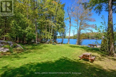 251A - 19 FIRE ROUTE Trent Lakes Ontario photo 41