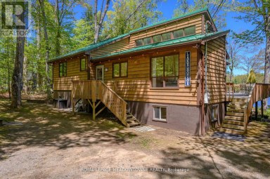 251A - 19 FIRE ROUTE Trent Lakes Ontario photo 9