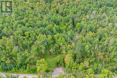 LOT 27 PART 1 - 505 BASS LAKE ROAD Trent Lakes Ontario photo 14