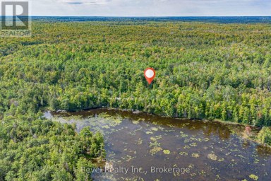 LOT 27 PART 1 - 505 BASS LAKE ROAD Trent Lakes Ontario photo 16