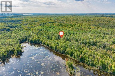 LOT 27 PART 1 - 505 BASS LAKE ROAD Trent Lakes Ontario photo 17