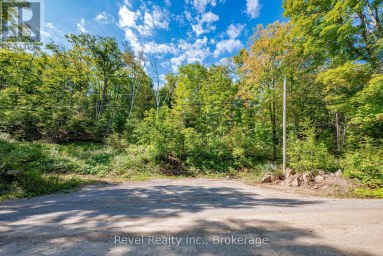 LOT 27 PART 1 - 505 BASS LAKE ROAD Trent Lakes Ontario photo 2