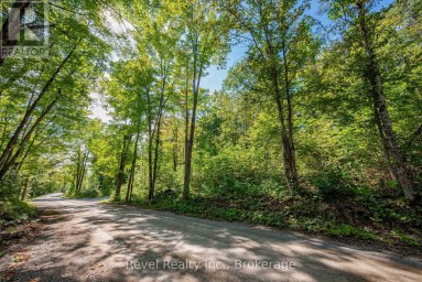 LOT 27 PART 1 - 505 BASS LAKE ROAD Trent Lakes Ontario photo 21