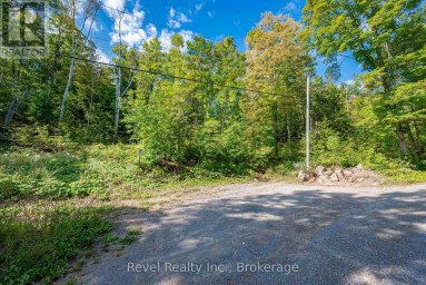 LOT 27 PART 1 - 505 BASS LAKE ROAD Trent Lakes Ontario photo 4
