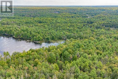 LOT 27 PART 2 - 505 BASS LAKE ROAD Trent Lakes Ontario photo 19