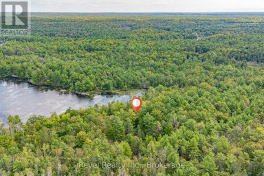 LOT 27 PART 2 - 505 BASS LAKE ROAD Trent Lakes Ontario photo 22