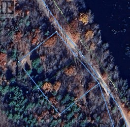 LOT 27 PART 2 - 505 BASS LAKE ROAD Trent Lakes Ontario photo 33