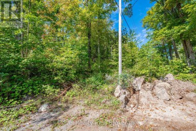 LOT 27 PART 2 - 505 BASS LAKE ROAD Trent Lakes Ontario photo 5