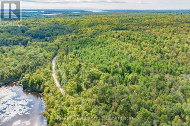 LOT 27 PART 2 - 505 BASS LAKE ROAD Trent Lakes Ontario photo 7