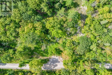 LOT 27 PART 2 - 505 BASS LAKE ROAD Trent Lakes Ontario photo 8