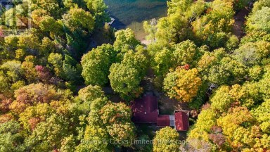 408 COUCHS ROAD North Kawartha Ontario photo 44