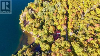 408 COUCHS ROAD North Kawartha Ontario photo 7